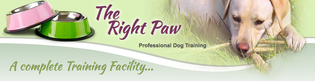 Right Paw banner